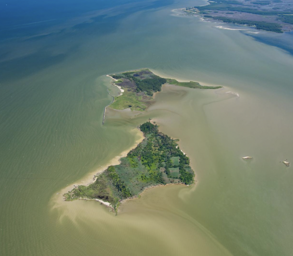 Mid-Chesapeake Bay Island Ecosystem Restoration Project
