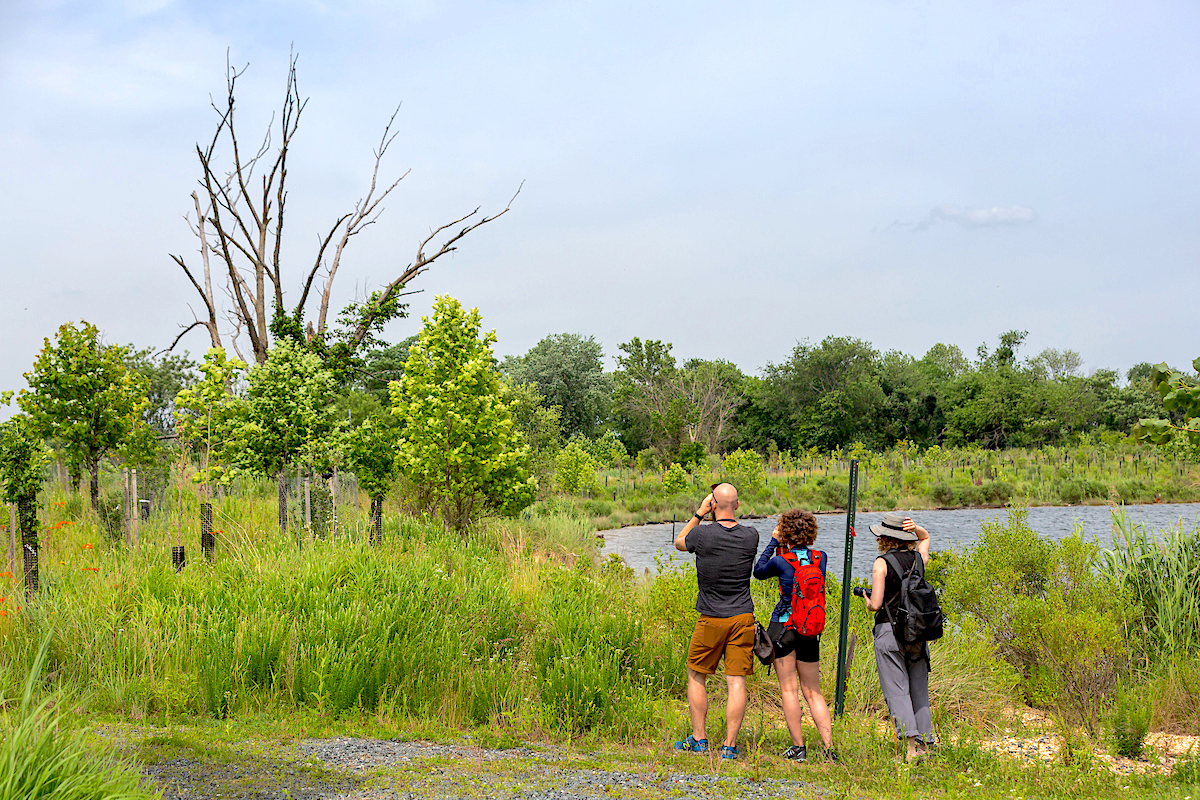 Birding Confirmation Page – Maryland Port Administration