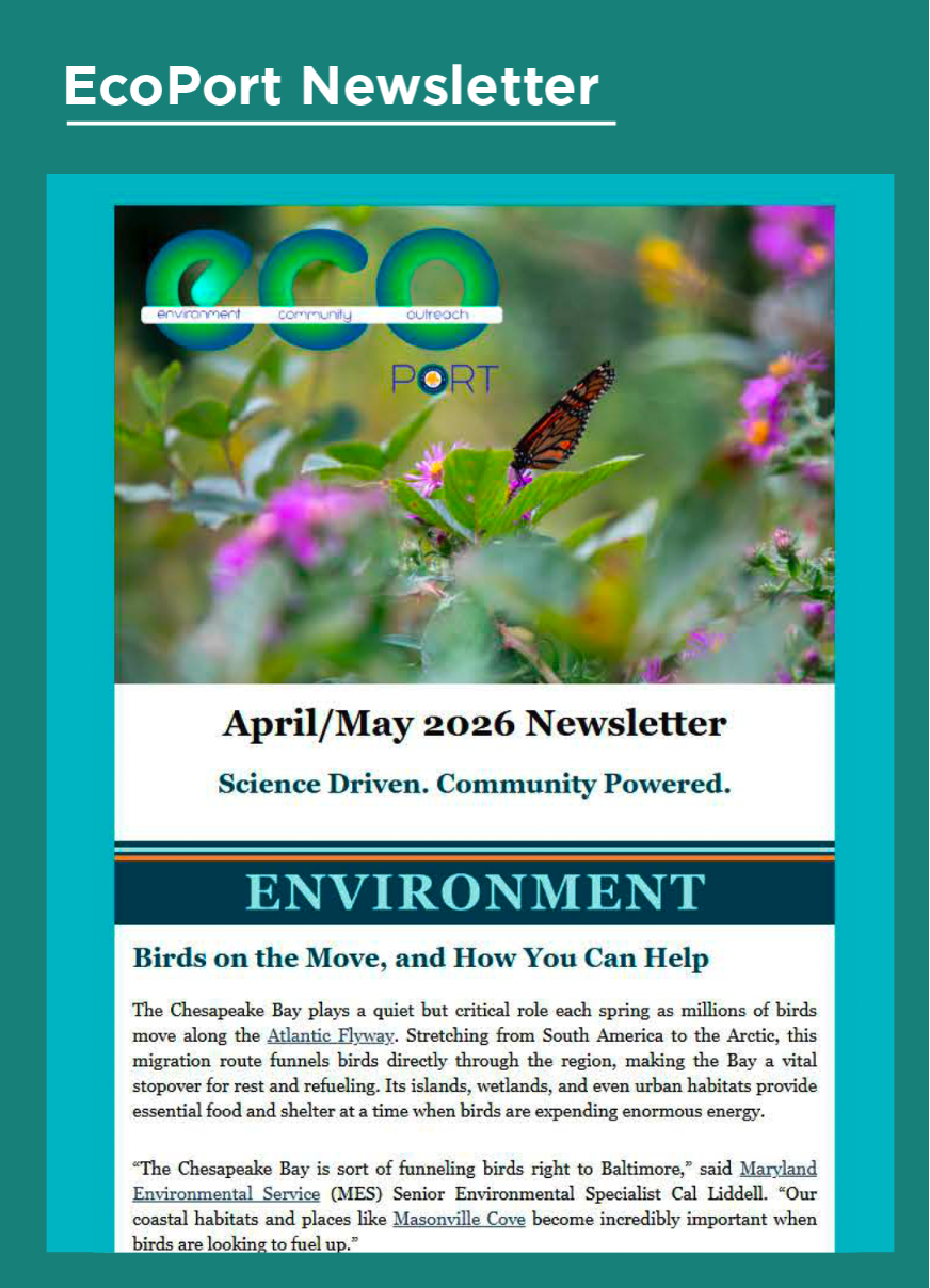 DMMP Newsletter Images (12)