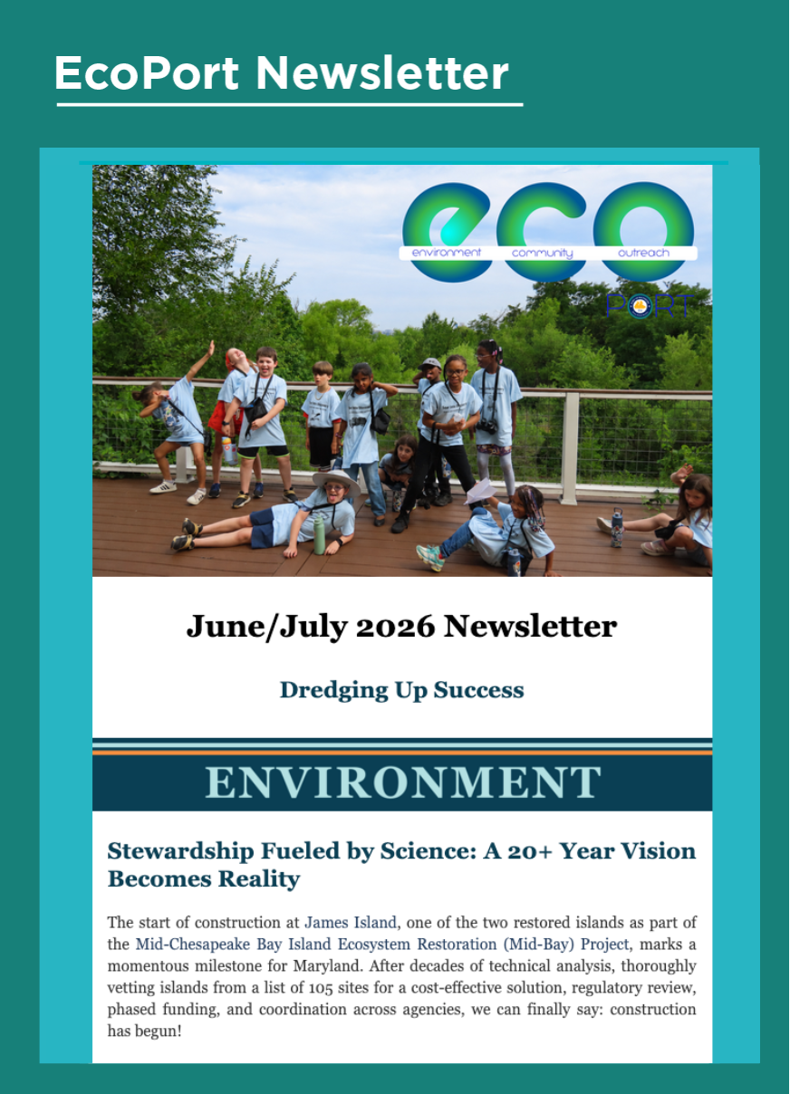This a thumbnail of the first section of the EcoPort newsletter. The thumbnail contains the newsletter title and there is an image of children holding binoculars playing on a deck above some trees. 