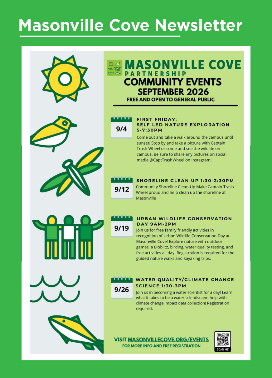 This is a screenshot of the Masonville Cove newsletter, which includes upcoming events.